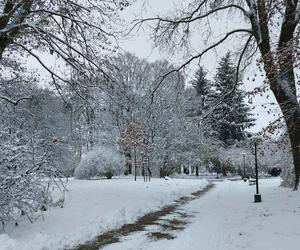 Zima w Zamościu. Śnieżna kołderka okryła miasto! Zobacz zdjęcia