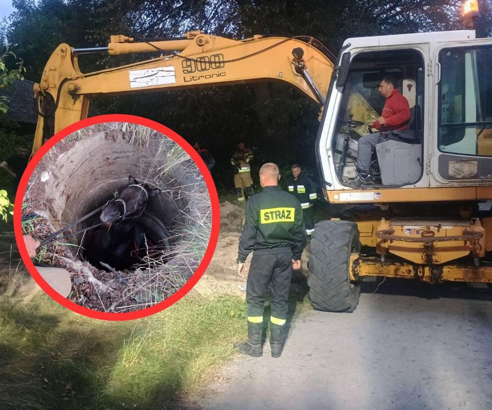 Koń wpadł do studni. Akcja ratunkowa trwała ponad osiem godzin! 