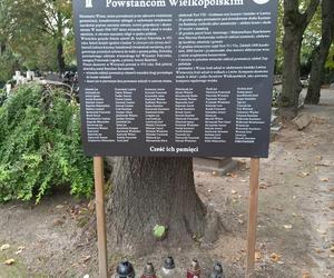 Ceny zniczy i wiązanek. Cmentarz Winiarski - Piątkowo Poznań