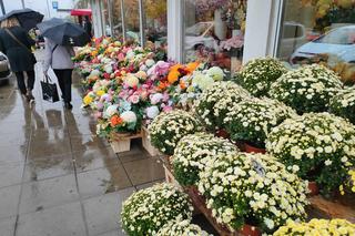 Wszystkich Świętych 2023. Zobacz, jak wygląda cmentarz Zarzew przed 1 listopada [ZDJĘCIA]