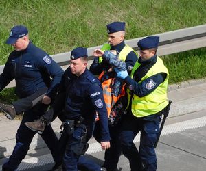 Ostatnie Pokolenie znowu to zrobiło! Przykleili się do asfaltu na trasie S8