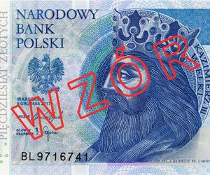 W 2024 roku niektóre banknoty tracą ważność. Wzory pieniędzy 