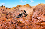 Garmin Edge MTB