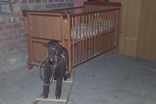 Najedliśmy się strachu! Trójmiejska ekipa ESKA Summer City w Krwawej Piwnicy [ZDJĘCIA]