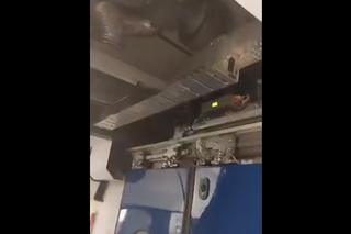 W pociągu PKP InterCity Niemcewicz zarwał się sufit! Szok na trasie Warszawa-Terespol [ZDJĘCIA]. Kontener: Warszawa.