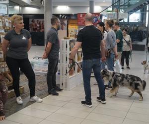 PupiLove Targi 2023 za nami! Czworonogi opanowały Focus Mall Bydgoszcz [ZDJĘCIA]