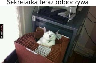 Memy z okazji Dnia Sekretarki 