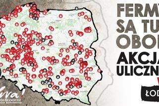 W Łodzi powiedzieli stop hodowli zwierząt na futra! Mieszkańcy podpisali się pod specjalną petycją