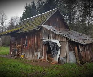 Nowy dom na Święta. Architekci odbudowują dom starszej kobiety