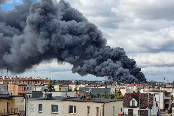 Ogromny pożar na Osowej Górze w Bydgoszczy! Na miejscu kilkanaście zastępów straży pożarnej [ZDJĘCIA]