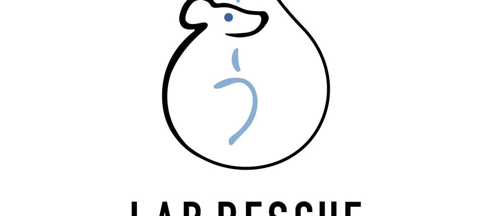 Logo Lab Rescue