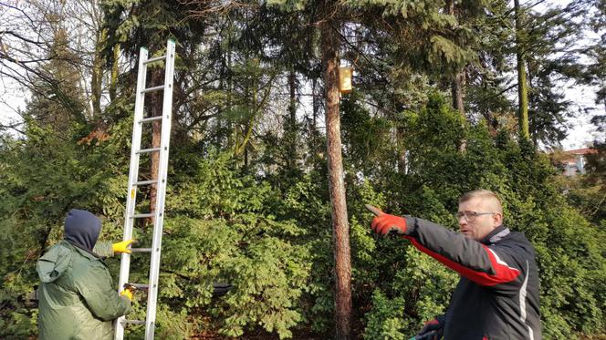  Budki lęgowe zawisły w bydgoskim Ogrodzie Botanicznym UKW w Bydgoszczy