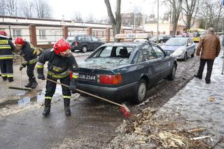 W Koszalinie połamało drzewa. Musiała interweniować straż pożarna.