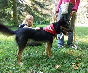 Parkowe łapki - schroniskowe psiaki w parku miejskim w Zamościu