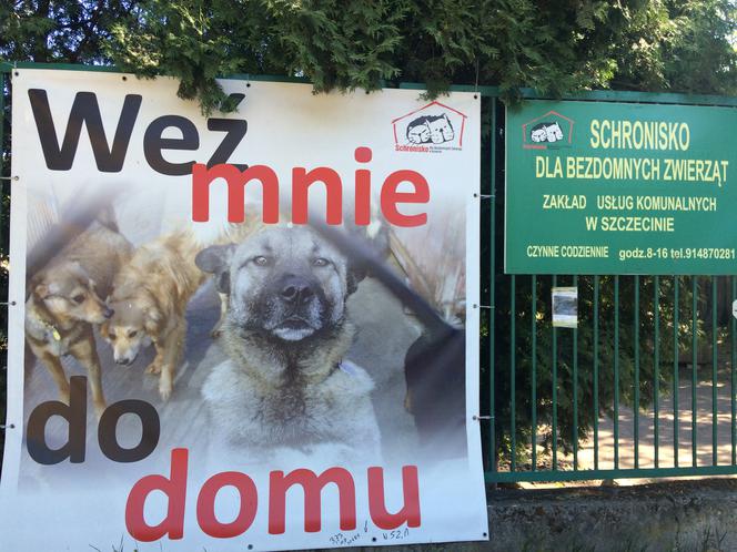 Schronisko dla zwierząt w Szczecinie