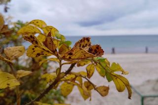 Kołobrzeg po sezonie