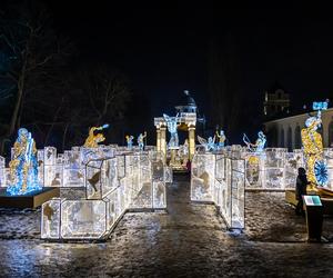 Królewski Ogród Światła - zobacz zdjęcia klimatycznych iluminacji w Warszawie