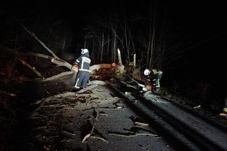 Zerwane dachy i powalone drzewa w Śląskiem. Przez wieczorny wiatr strażacy mieli dużo roboty ZDJĘCIA