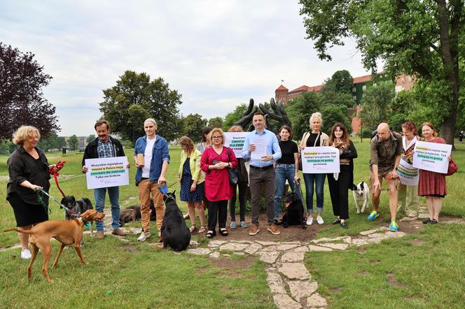 Stowarzyszenie Kraków dla Mieszkańców stworzyło petycję ws. budowy cmentarza dla zwierząt w Krakowie