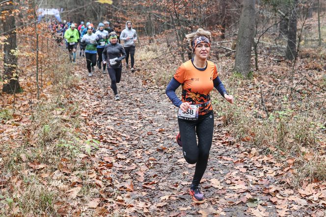 Katowicki City Trail jak zwykle ze znakomitymi biegaczami i biegaczkami. Zobacz zdjęcia ze sportowej imprezy