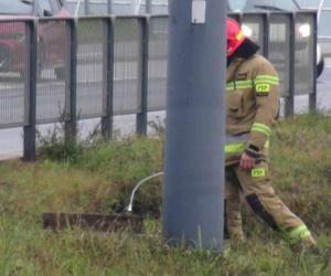 Gigantyczny wybuch w podziemiach. Cztery osoby ranne. Studzienki kanalizacyjne wyleciały w powietrze!