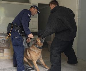 Policjanci i ich psy służbowe walczyli o tytuł! Kto okazał się najlepszy?
