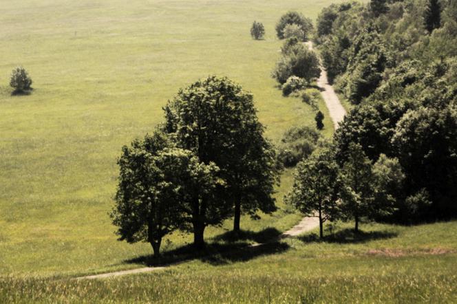 Magurski Park Narodowy