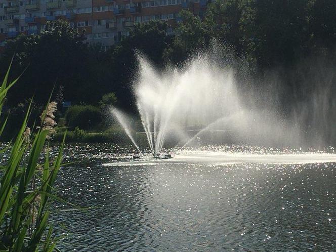 Bartodzieje