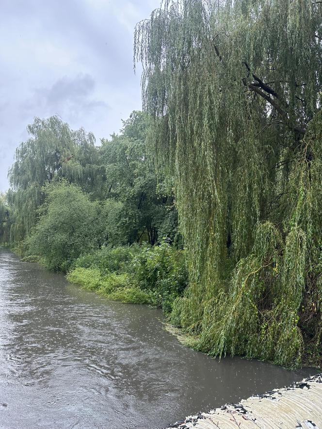 Brynica woj. śląskie - Sosnowiec, Stawiki