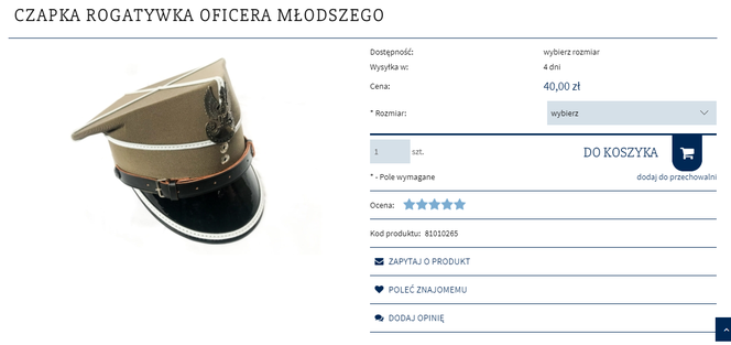 Agencja Mienia Wojskowego wyprzedaje sprzęt. To można kupić od wojska!