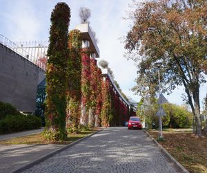 Najbardziej klimatyczne ulice w Białymstoku 