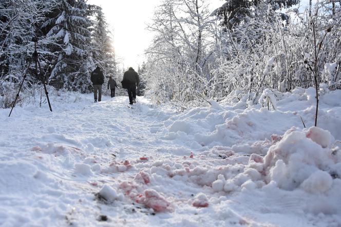 Łagodny wyrok dla sługi szatana