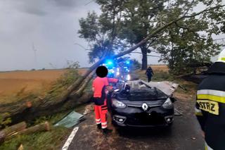 Drzewo runęło na auto z rodziną pod Świeciem! 47-latek nie miał szans tego przeżyć [ZDJĘCIA]