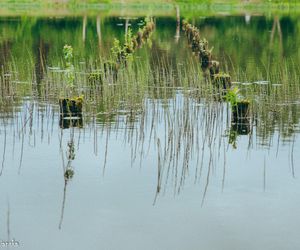 Czarniecka Góra - klimatyczna wieś w Świętokrzyskiem