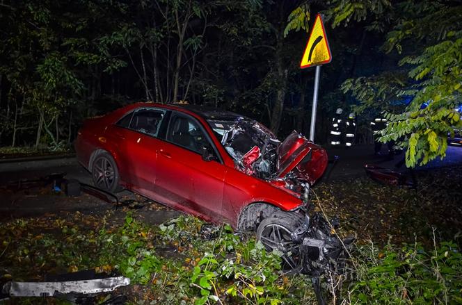 Mercedes Klasy E uderzył w drzewo, nie żyje kierowca