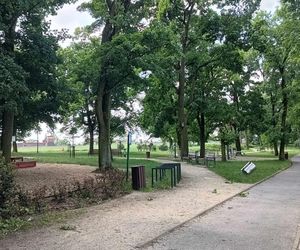 Próba zabójstwa w toruńskim parku. Zapytaliśmy mieszkańców o ich poczucie bezpieczeństwa