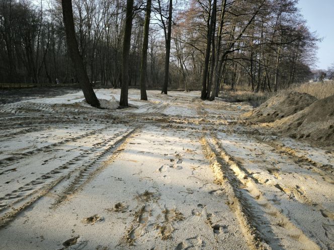 Osieczna przygotowuje plaże na Stanisławówce 