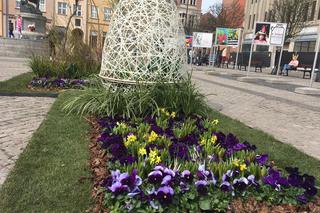 Wielkanocne ozdoby w Grudziądzu