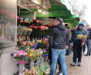 W Lublinie przed stoiskami z kwiatami długie kolejki. Sprawdziliśmy, jakie są ceny
