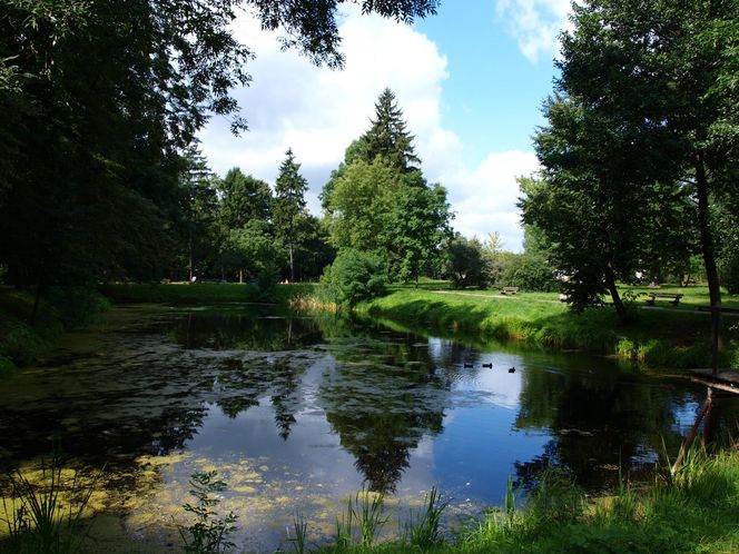 2. Michałowice – spokój i rozwój tuż przy stolicy