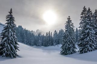 Bieszczady: Trudne warunki na szlakach