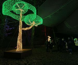 Park Miliona Świateł w Orientarium Zoo Łódź