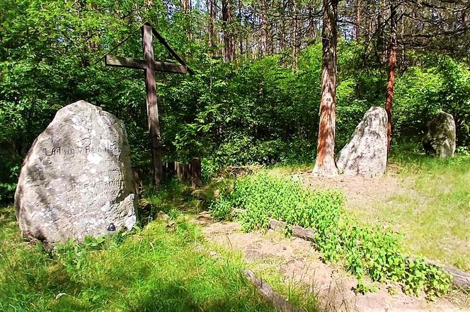 Leśny cmentarz rodu von Ramin