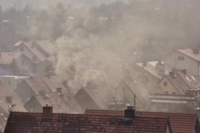 13 mandatów od początku roku. Straż Miejska w Lublinie walczy ze smogiem
