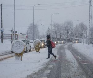 Pogoda. Opady śniegu w Polsce 2024 to już PEWNIAK. To wtedy bezlitośnie uderzy zima!