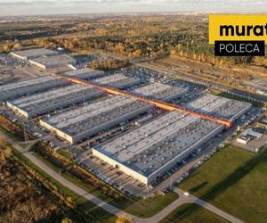 Targi Facade Expo - to nowy rozdział dla branży elewacji i termomodernizacji