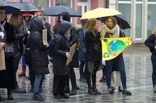 Młodzieżowy Strajk Klimatyczny. Ogólnopolska inicjatywa także w Lublinie