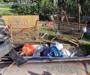 Płetwonurkowie posprzątali dno Zakrzówka w Krakowie. Wyłowiono zaskakujące przedmioty [GALERIA]