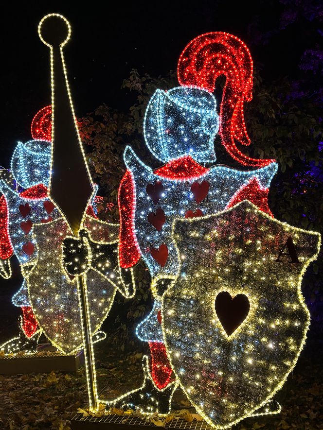 Otwarcie Lumina Parku w Poznaniu. Tegoroczne świecące miasteczko robi fenomenalne wrażenie!