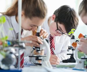 W Poznaniu nadal są wolne miejsca na studia